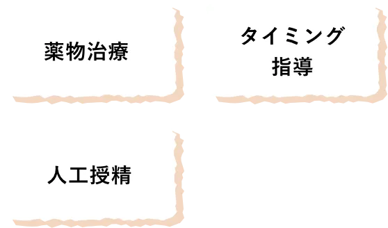 薬物治療/タイミング指導/人工授精
